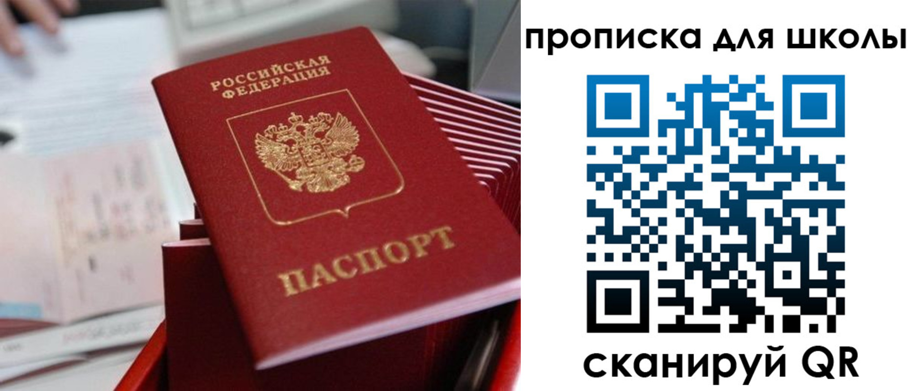прописка для школы в Жердевке